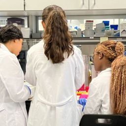 VHIO4STEM lab 1